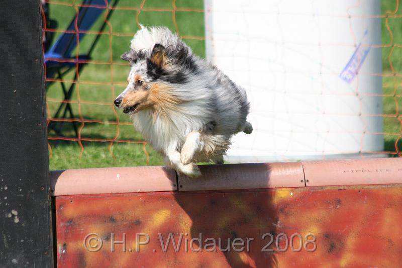 jubil.lusten. 226.jpg